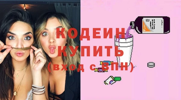гидра Корсаков