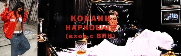 мдпв Коряжма